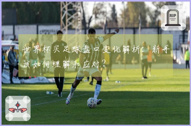 世界杯买足球盘口变化解析：新手该如何理解和应对？