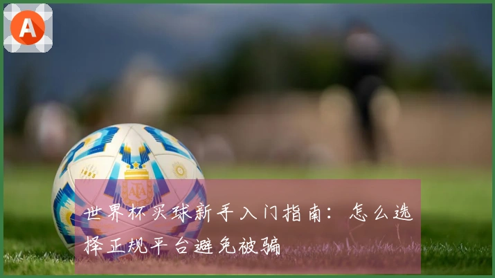 世界杯买球新手入门指南：怎么选择正规平台避免被骗