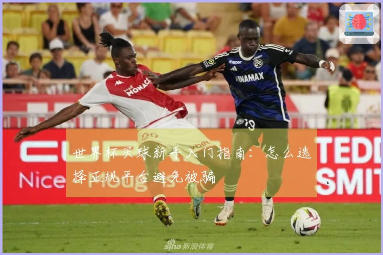 世界杯买球新手入门指南：怎么选择正规平台避免被骗
